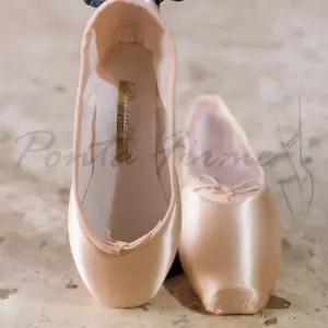 GRISHKO - DREAM POINTE 2007 PreArco